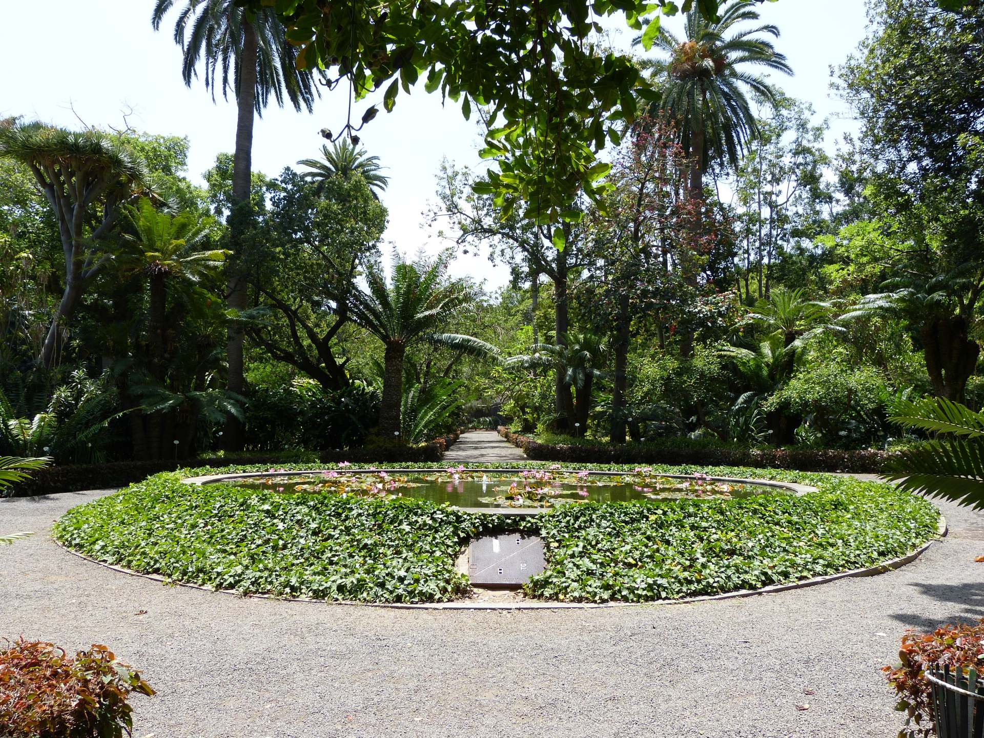 Eindrücke vom Jardin Botanico