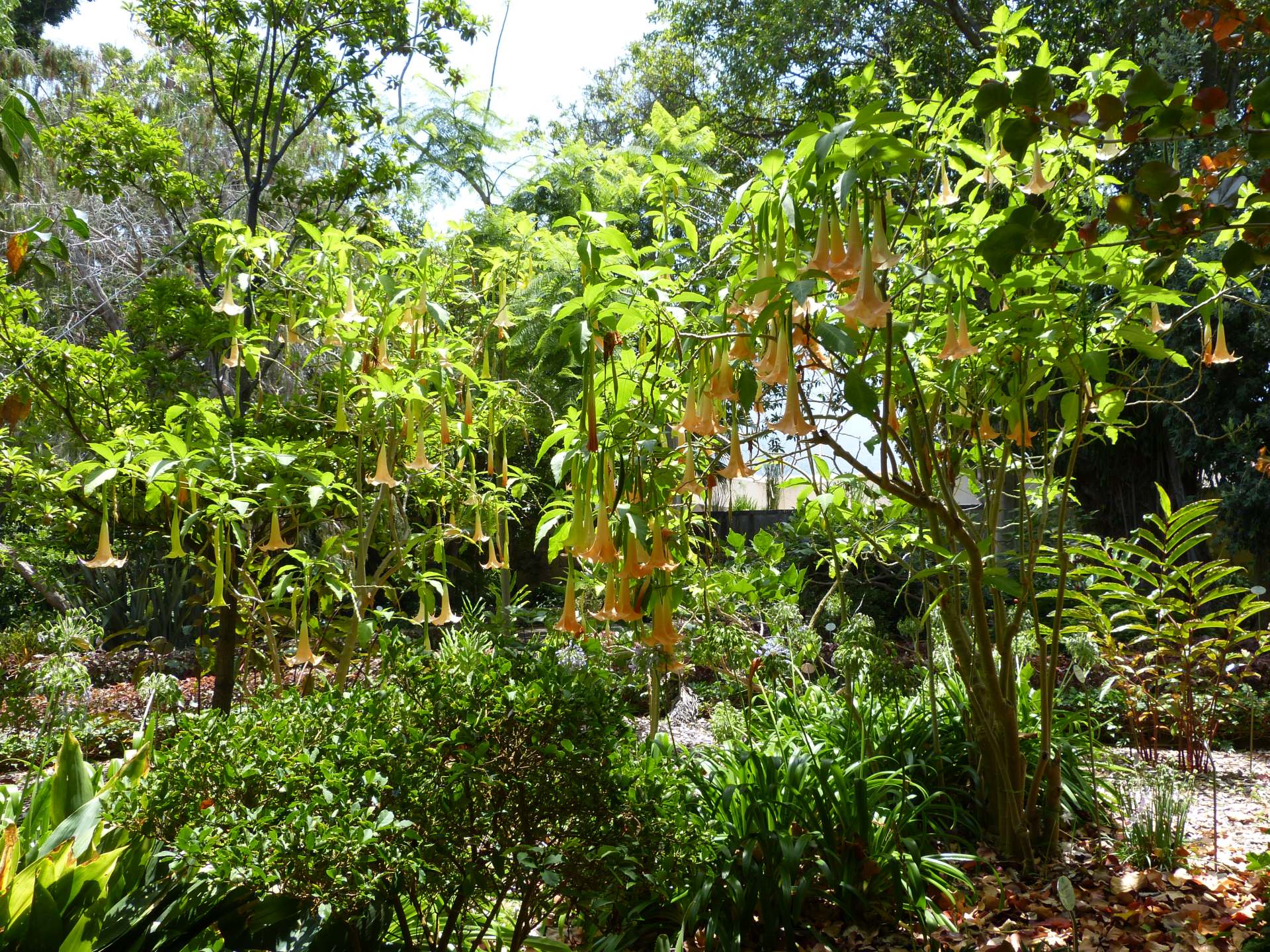 Eindrücke vom Jardin Botanico