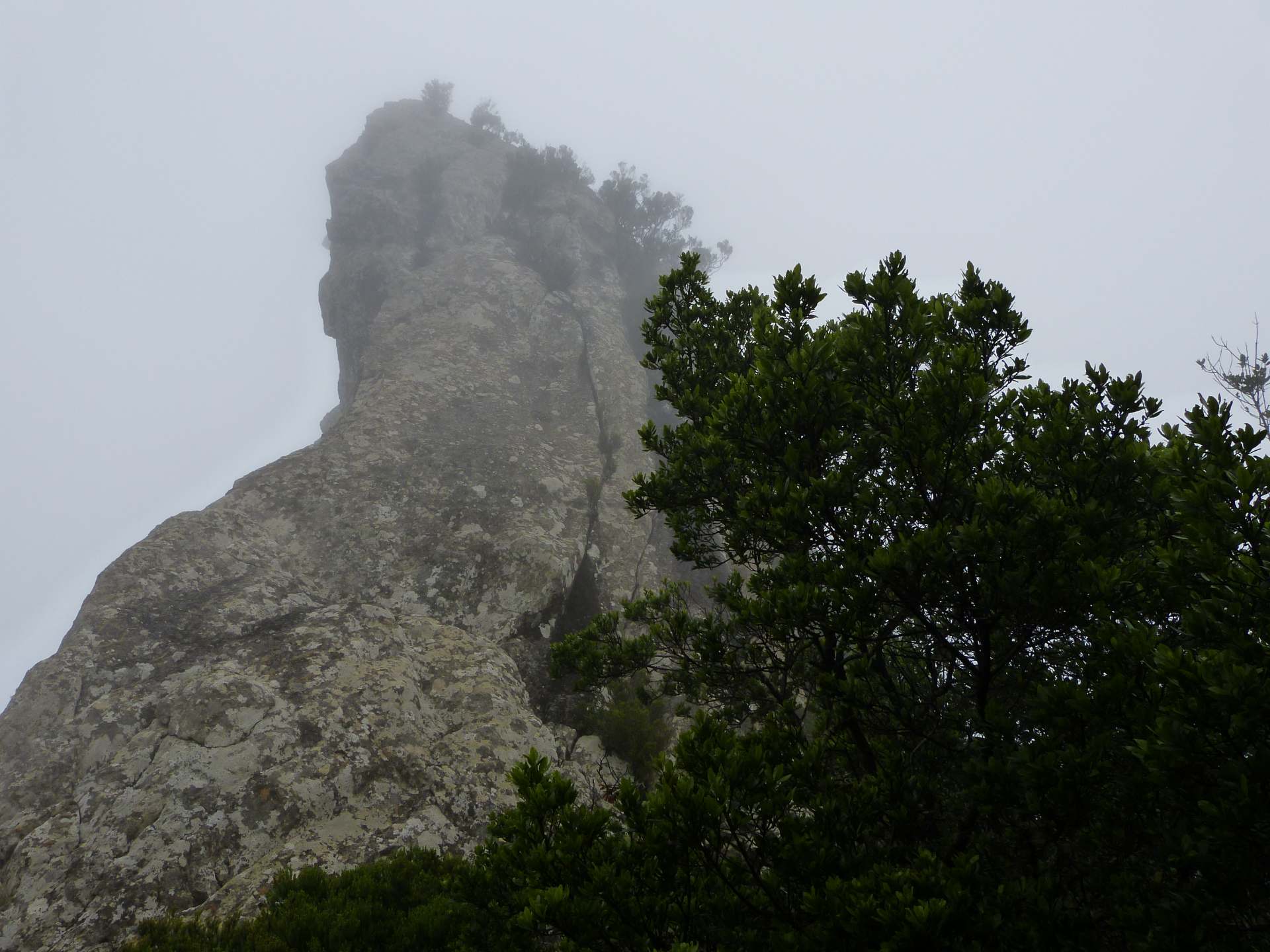 Roque de Anambro im Nebel