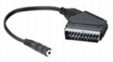Scart Adapterkabel Scartstecker auf Klinkenkupplung 3,5 mm stereo, 0,2 m