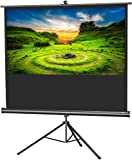 Celexon Stativleinwand Economy 219 x 123 cm